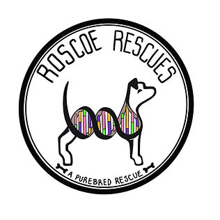 Copy of Official RR Logo.jpeg